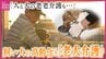 人もイヌも進む“高齢化”　飼い主が先に亡くなるケースも　人とペットの“老老介護”　　年老いた犬の介護の現実　「15年先まで責任持って飼えるのか」飼い主にも問われる課題　|　RCC NEWS | 広島ニュース | RCC中国放送