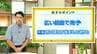 高知の天気　8日　午後から雨脚強まる時間も　山岸拓気象予報士が解説　|　高知のニュース・天気｜KUTV NEWS | KUTVテレビ高知