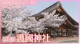 英霊を祀る護國神社の桜【JNN sakuraドローンDIG 2025】|TBS NEWS DIG