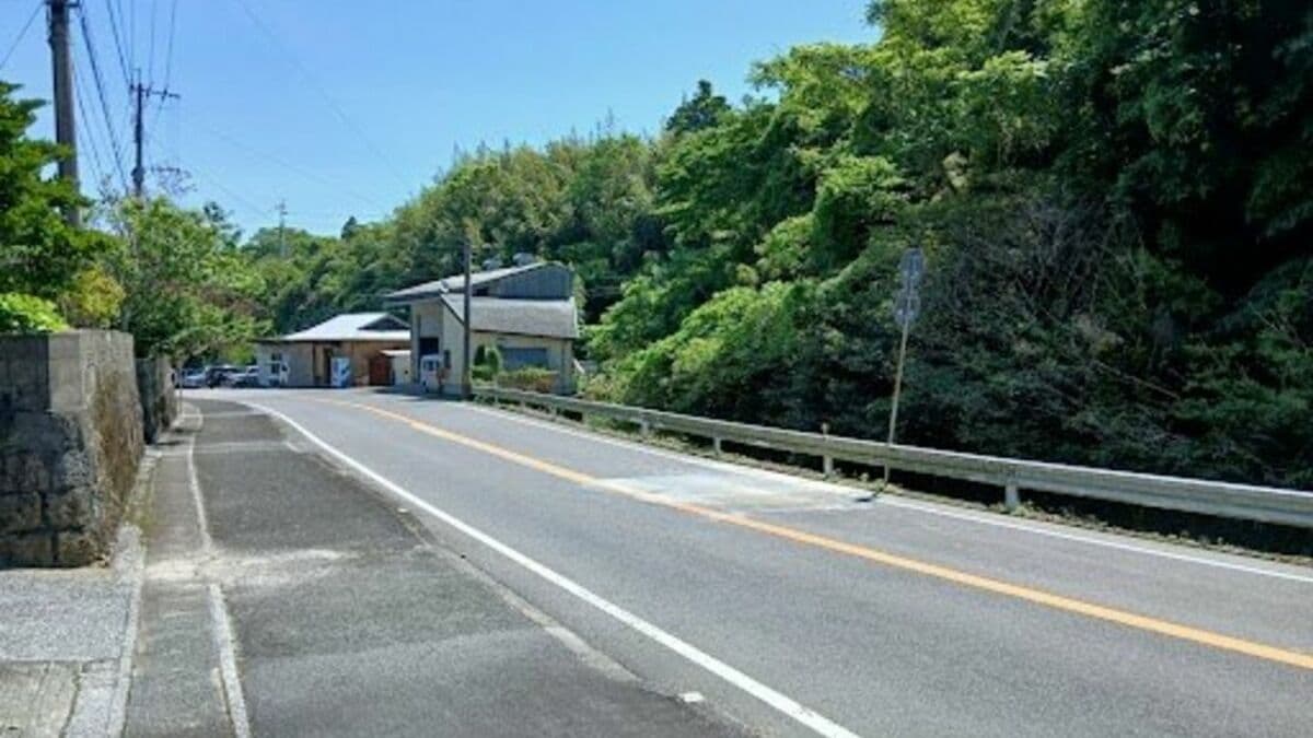 乗用車同士が正面衝突　小学生を含む5人がけが…全員を搬送　現場は片側1車線の坂　警察が事故原因を捜査