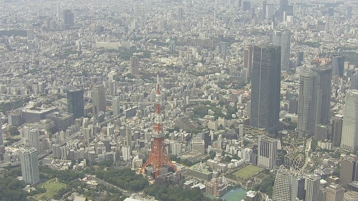 【速報】去年1年間の消費者物価3.1％上昇　3％超は2年ぶり　コメ高騰など食料品の値上がり響く | TBS NEWS DIG