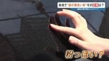 「黄砂は飛んでないのに…」なぜ？ 車に付着する“謎の黄色い粉”の正体を突き止めた！ 　|　熊本のニュース｜RKK NEWS｜RKK熊本放送