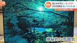 「光が差した瞬間、息をのみました」“美しすぎる切り絵”が話題!|TBS NEWS DIG