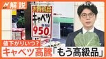 キャベツ高騰 1玉1000円!? スーパーからキャベツ消えた、春キャベツ一体どこへ?【Nスタ解説】|TBS NEWS DIG
