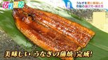 スーパーのうなぎは‟平べったいもの”を選ぶ!?美味しいうなぎの選び方&料理酒が決め手!温め方の極意【ひるおび】|TBS NEWS DIG