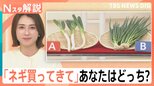 「ネギ買ってきて」あなたは白・青どっち？ 出荷量アップ！冬よりお手頃「2～3割安い」【Nスタ解説】|TBS NEWS DIG