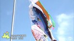 やねよりたかい「マグロのぼり」　“マグロの町”青森県大間で子どもたちが掲げるのは「鯉のぼり」ではなく「マグロのぼり」　最も大きい「おとうさんマグロ」は2026年の一番マグロにも引けを取らない3.8ｍ|TBS NEWS DIG