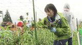 高校生が株に養分を集中させるため花を摘むボランティア 地元特産のリンドウ生産をお手伝い 岩手・西和賀町|TBS NEWS DIG
