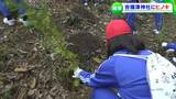 50年後の未来を見据えて小学生が植樹 国宝・吉備津神社の大屋根葺き替えに使われるヒノキの苗50本【岡山】|TBS NEWS DIG