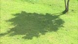 雨から一転...きょう(5日)は秋の始まり感じる朝も、あす(6日)は天候崩れる見込み|TBS NEWS DIG