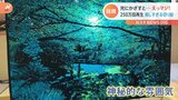「光が差した瞬間、息をのみました」“美しすぎる切り絵”が話題！|TBS NEWS DIG