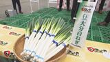 大分白ねぎ旬入り宣言　初競りで例年並みの価格で取引|TBS NEWS DIG