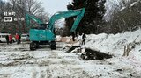 鳥インフルエンザが確認された盛岡市の農場は防疫措置完了 軽米町の農場では5万羽の殺処分終了|TBS NEWS DIG