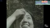 【ホレホレアーカイブ】夏でも氷!の不思議なスポット 岩手・八幡平市 1962年のニュース映像より | IBC NEWS | IBC岩手放送