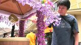 湯原温泉でお釈迦様の誕生を祝う温泉薬師堂花祭が開かれる 薬師堂の御本尊も4年ぶりに公開【岡山】|TBS NEWS DIG