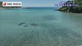 「快水浴場百選」の奇跡の透明度と、潜伏キリシタン殉教の記憶――平戸・根獅子海水浴場を空から巡る【長崎ばーどアイ】|TBS NEWS DIG