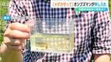 「キタノメダカを守って」「配慮を検討」鳥屋野潟南部の開発予定地に“準絶滅危惧種”!オンブズマンが新潟市に申し入れ | 新潟のニュース・天気|BSN NEWS|BSN新潟放送