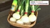 みずみずしさとほのかな辛み　延岡特産「空飛ぶ新玉ネギ」をPR|TBS NEWS DIG