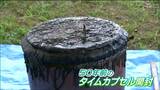 50年前の”タイムカプセル開封” 中から出てきたものは…「戻れないし懐かしい気持ちでいっぱい」小泉小学校 宮城・気仙沼市|TBS NEWS DIG