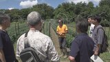 「畑でいただくとイマジネーションが湧いてくる」シェフやソムリエが有機農業を視察 山梨 | 山梨のニュース | UTYテレビ山梨