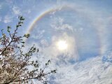 太陽の周りに輝く“虹色の輪”「花見で空を見上げたら」鹿児島県北部で目撃相次ぐ | 鹿児島のニュース|MBC NEWS|南日本放送