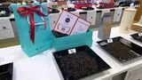 「お茶文化が広がっていくのを感じる」品質や商品価値競う 世界緑茶コンテスト=静岡・島田市 | 静岡のニュース | SBSNEWS | 静岡放送
