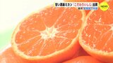 甘さにこだわり　高級ミカンの出荷　広島･呉市 倉橋島　|　RCC NEWS | 広島ニュース | RCC中国放送