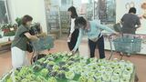 旬の17品種が並ぶ 加賀ぶどうまつり開催 石川・加賀市|TBS NEWS DIG