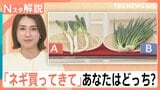 「ネギ買ってきて」あなたは白・青どっち？ 出荷量アップ！冬よりお手頃「2～3割安い」【Nスタ解説】|TBS NEWS DIG