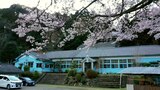 【映像でお花見】時代の移り変わりを見てきた“廃校に咲く桜” | 福岡のニュース|RKB NEWS|RKB毎日放送