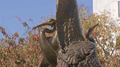 「敵」になった日系アメリカ人　真珠湾攻撃から82年　戦争のキオク| TBS CROSS DIG with Bloomberg