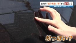 「黄砂は飛んでないのに…」なぜ？ 車に付着する“謎の黄色い粉”の正体を突き止めた！ |TBS NEWS DIG