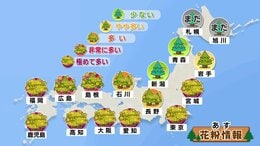 あす5日の花粉は？広く晴れて花粉「極めて多い」マスクなど花粉対策を 東日本・北日本中心に風が強い予報|TBS NEWS DIG