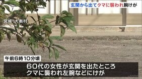 玄関から出てクマに襲われ腕にけが 60代女性命に別状無し 警察パトロールなど警戒続ける 宮城・大衡村|TBS NEWS DIG