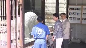 天皇皇后両陛下　愛媛県立とべ動物園でホッキョクグマ「ピース」と対面|TBS NEWS DIG