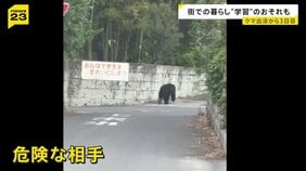 宇都宮市の繁華街にクマ「うわすご！」　夜も捕獲に至らず　各地で目撃情報…周辺の学校では臨時休校【news23】|TBS NEWS DIG