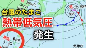 【台風情報】新たな台風のたまご「熱帯低気圧」が日本の南西で発生　進路は北東へゆっくりの速さで進む見込み　気象情報に注意【気象庁】|TBS NEWS DIG