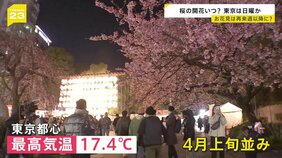 気温上昇 夜桜に「生ビール一択」 東京は4月上旬並みの暖かさ 東京は日曜にも桜開花か 気象予報士 森田さん解説【news23】|TBS NEWS DIG
