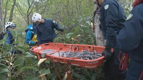 「川の対岸に山菜が…」2人死亡　山菜採りで遭難した群馬県の76歳と80歳の男性と判明　奥志賀高原の山中　増水した川を無理に渡ろうとして流されたか　同行の男性「けんかしてでもやめればよかった」長野・山ノ内町|TBS NEWS DIG