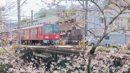 ピンクのサクラのそばを赤い電車が走り抜ける “春限定”のシャッター