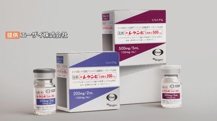 認知症の薬物療法 来年には高齢者の5人に1人が患う認知症 アルツハイマー病の治療