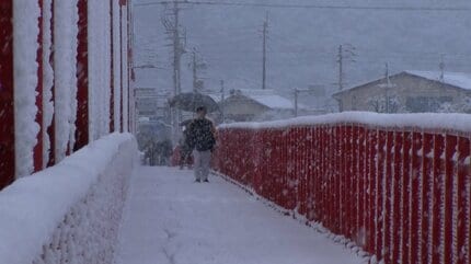 強い寒気の影響で南国・高知でも積雪に 高知空港では最低気温が12月の