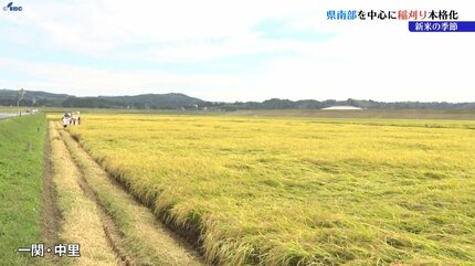 岩手県南部で稲刈り作業が本格化 岩手・一関市 | IBC NEWS | IBC岩手