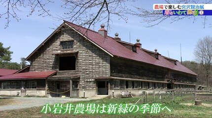 春のいわて探訪】①小岩井農場まきば園で楽しむ、宮沢賢治をテーマに