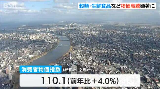 穀類・生鮮食品などが前年比+20%以上と物価高騰が顕著に　2月の新潟市消費者物価指数|TBS NEWS DIG