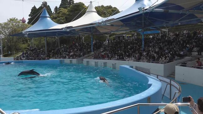 のとじま水族館　こどもの日でイルカショーは満席に　石川・七尾市|TBS NEWS DIG