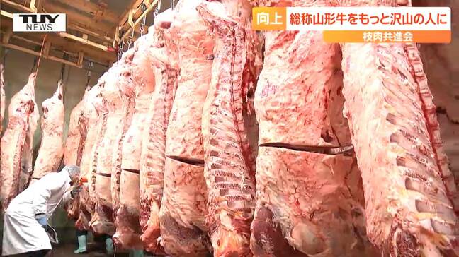 今年も出来はいい！山形牛の枝肉共進会　物価高で牛肉の値段も上がるも生産者は「おいしい牛肉を食べて」|TBS NEWS DIG