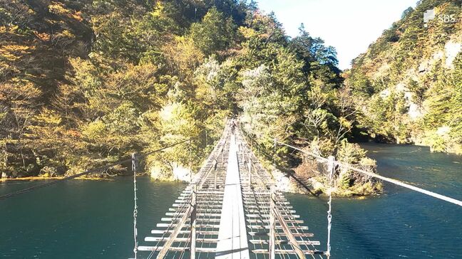 「夢のつり橋」紅葉見頃を迎える 環境保全のため新たな取り組み =静岡・川根本町|TBS NEWS DIG