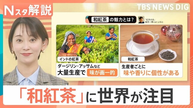 「和紅茶」が熱いワケ！個性豊かな味・香りで“日本茶”の魅力凝縮　消費減少のカギに？【Nスタ解説】|TBS NEWS DIG