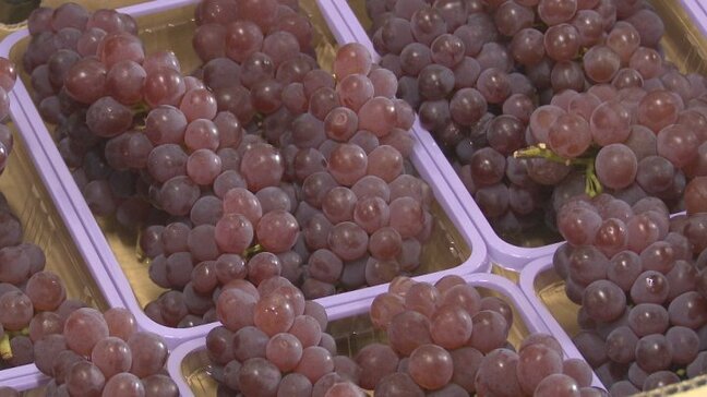 「糖度は例年以上の19度」露地栽培デラウェアの出荷始まる|TBS NEWS DIG